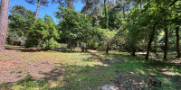 terrain à ARCACHON (33120)