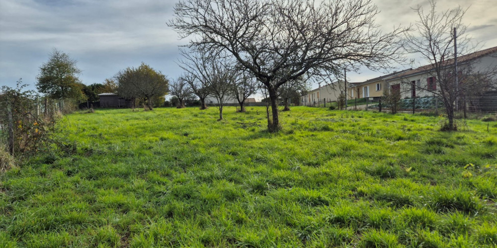 terrain à BAIGNEAUX (33760)