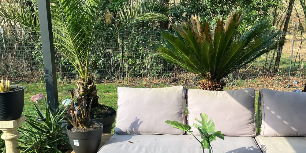 appartement à PESSAC (33600)