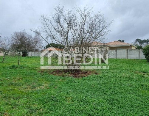 terrain  LE TAILLAN MEDOC