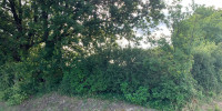terrain à CAZAUGITAT (33790)