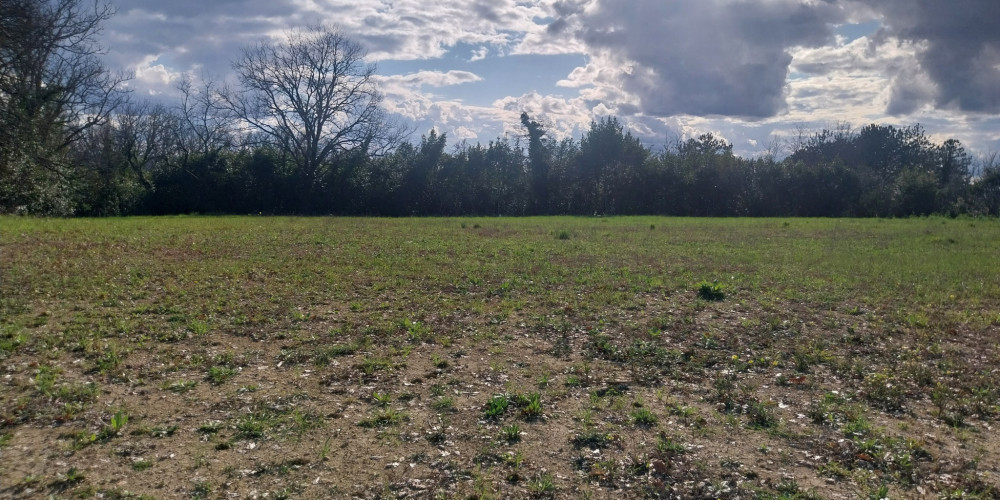 terrain à TABANAC (33550)
