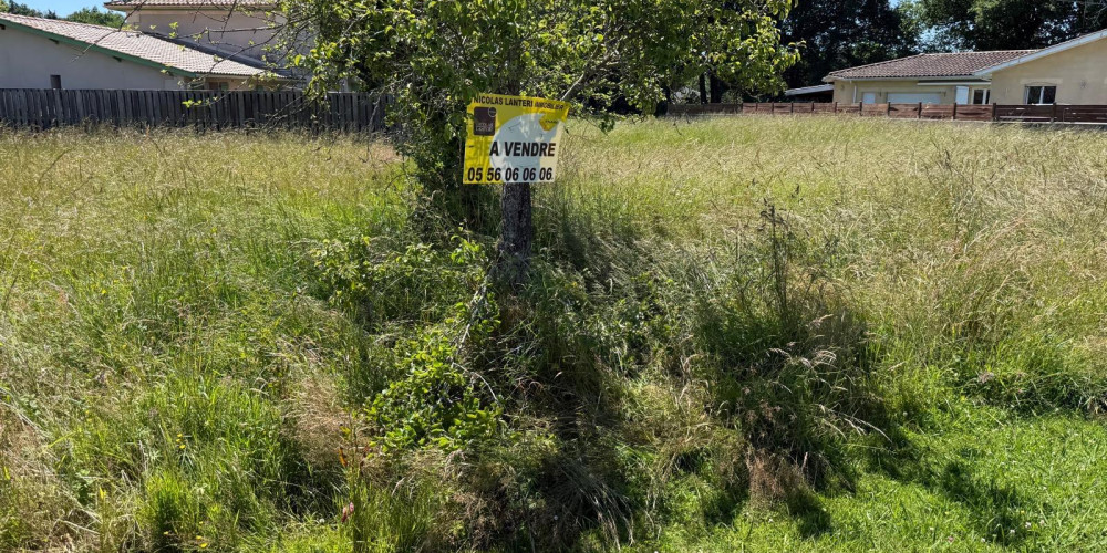 terrain à SALAUNES (33160)