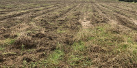 terrain à ST ANDRE DE CUBZAC (33240)