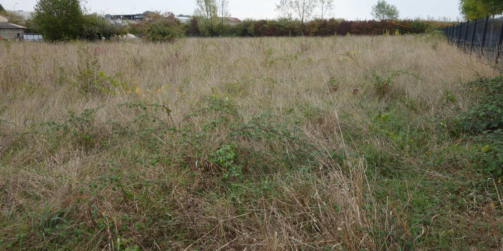 terrain à BLAYE (33390)