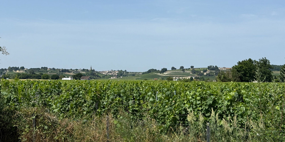 maison à ST EMILION (33330)
