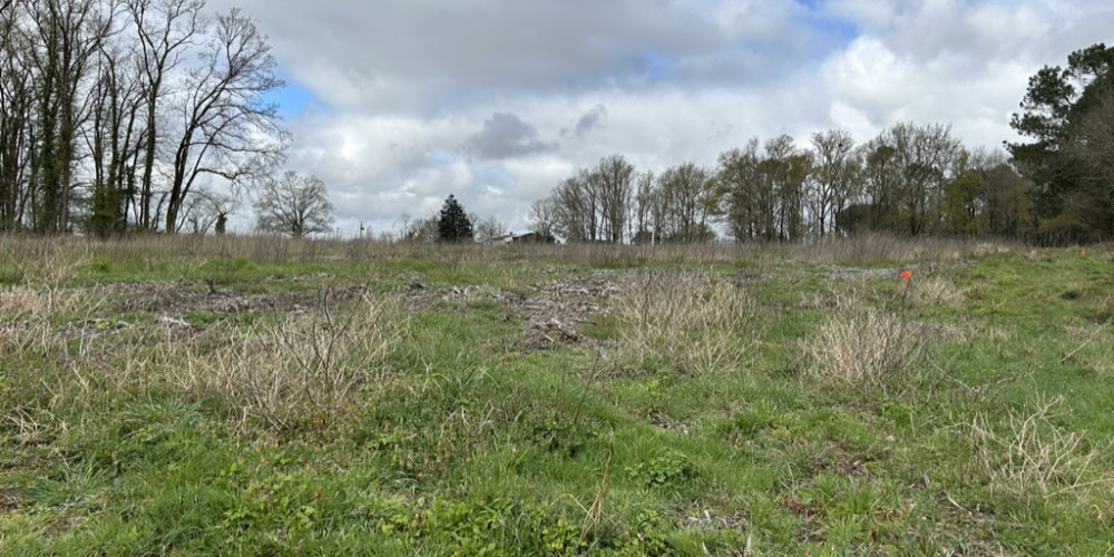 terrain à ST MARTIN DU BOIS (33910)