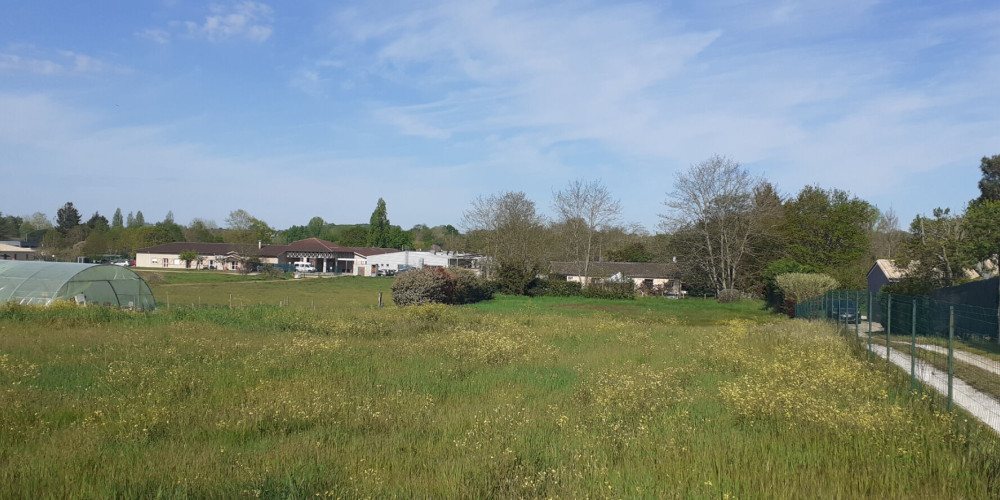 terrain à ST DENIS DE PILE (33910)