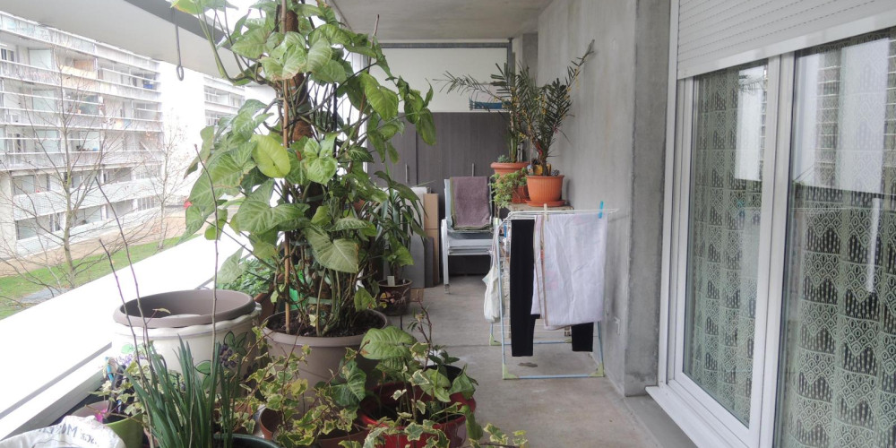 appartement à BORDEAUX (33800)