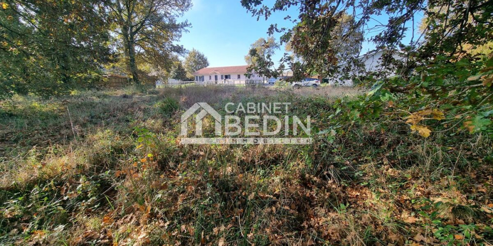 terrain à BELIN BELIET (33830)