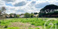 terrain à LANTON (33138)