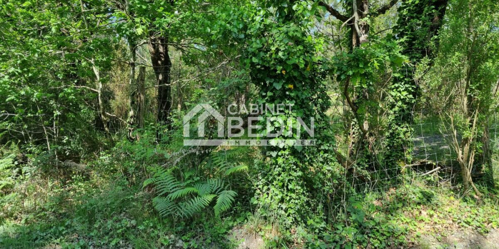 terrain à AUDENGE (33980)