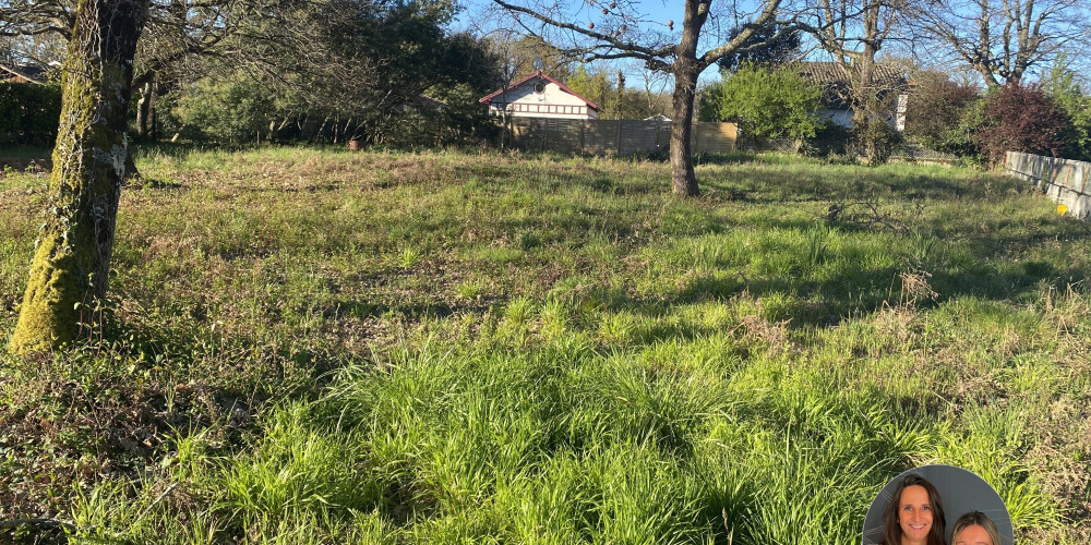 terrain à LANTON (33138)