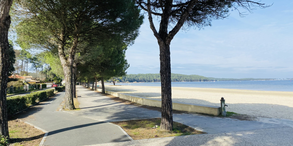 terrain à CARCANS (33121)