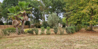 terrain à ARSAC (33460)