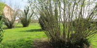 terrain à CISSAC MEDOC (33250)