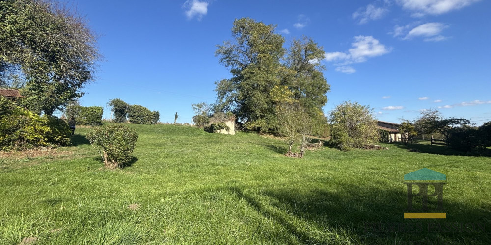 terrain à ROAILLAN (33210)