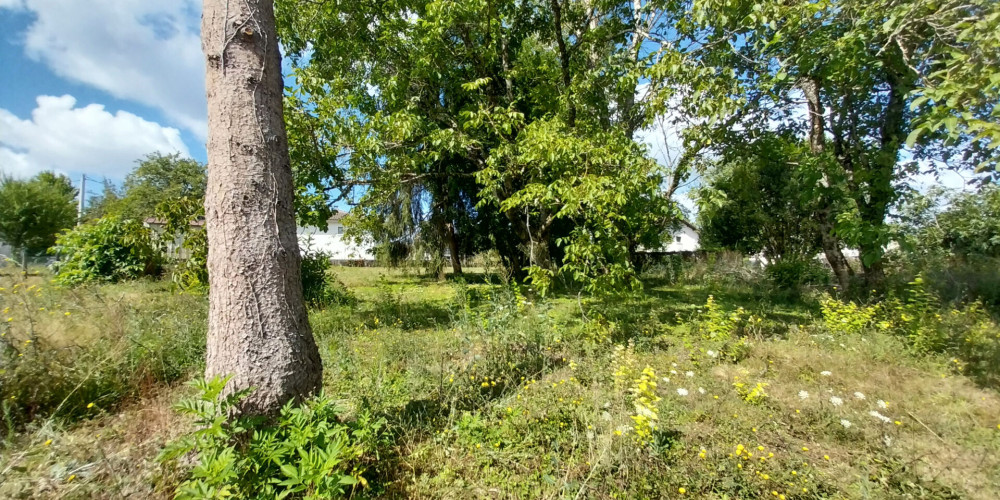 terrain à BAZAS (33430)