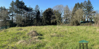 terrain à VILLANDRAUT (33730)