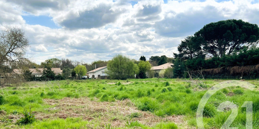 terrain à LANTON (33138)