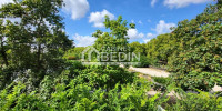 appartement à BORDEAUX (33100)