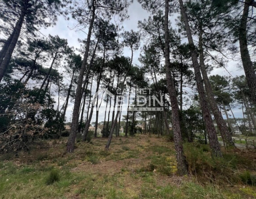 terrain  GUJAN MESTRAS