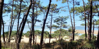 maison à ARCACHON (33120)