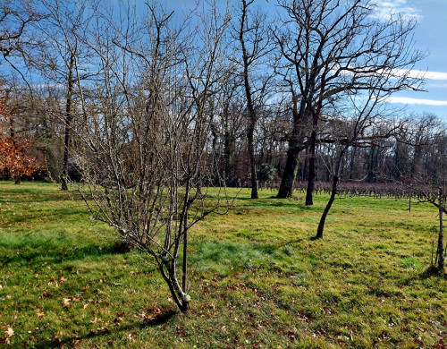 terrain  LANGON