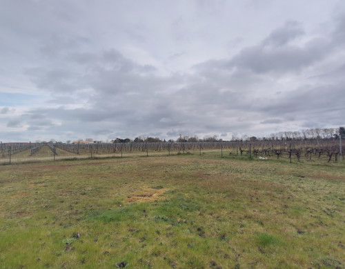 terrain  LIBOURNE