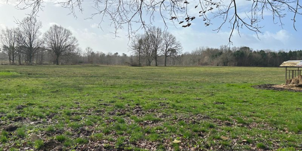 maison à LARUSCADE (33620)