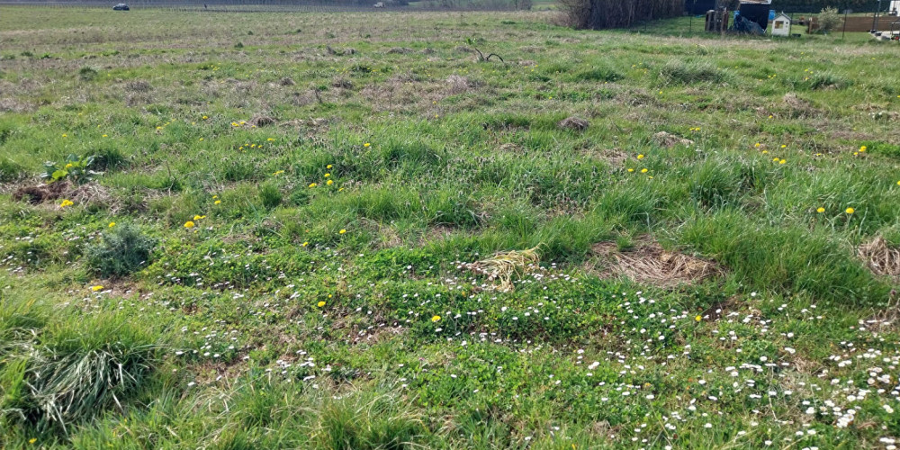 terrain à BAIGNEAUX (33760)