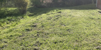 terrain à LA BREDE (33650)