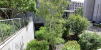 appartement à BORDEAUX (33300)