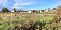 terrain à ST MICHEL DE FRONSAC (33126)