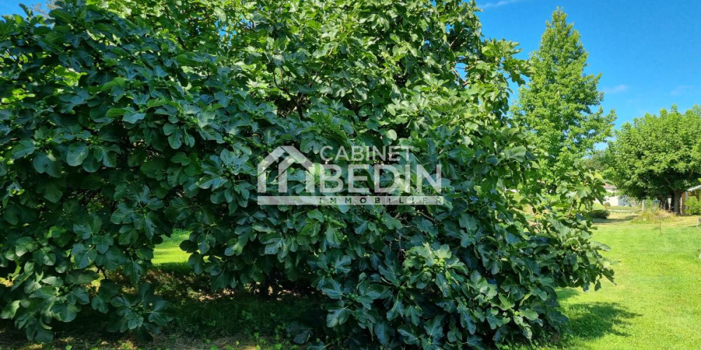 terrain à BARON (33750)