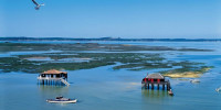 local commercial à LEGE CAP FERRET (33950)