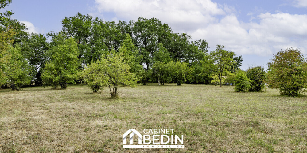 maison à ST AUBIN DE BRANNE (33420)