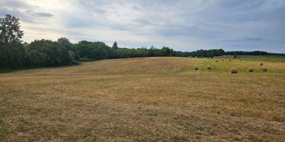 terrain à COUTURES (33580)