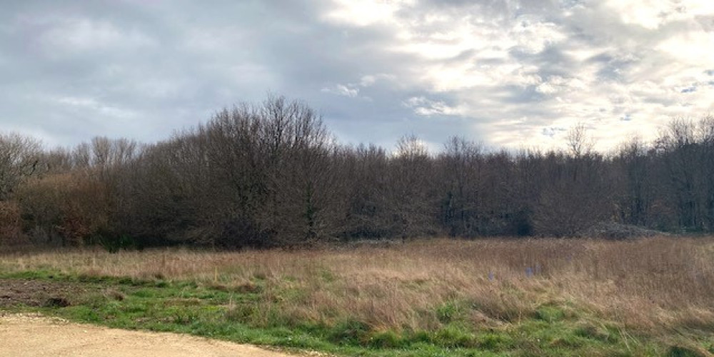 terrain à LAGORCE (33230)