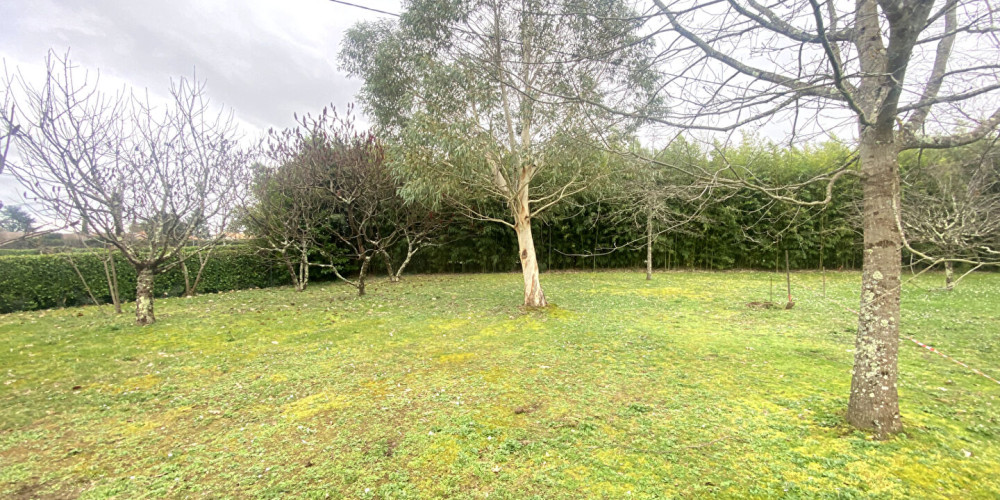 terrain à LIBOURNE (33500)