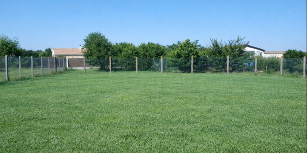 terrain à CERONS (33720)