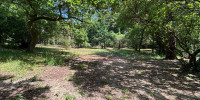 terrain à ARCACHON (33120)