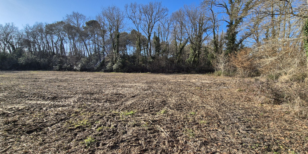 terrain à SALLES (33770)