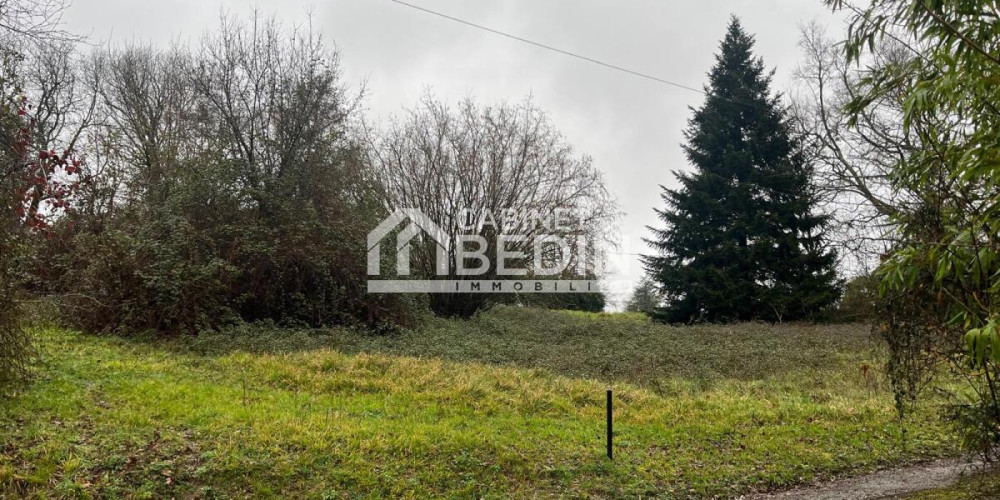 terrain à LE TOURNE (33550)