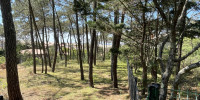 terrain à LACANAU (33680)