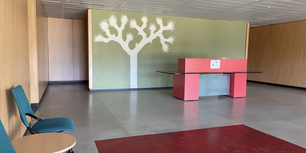 local commercial à CANEJAN (33610)