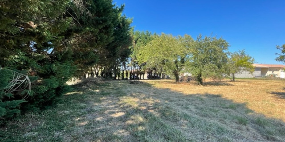 terrain à BASSANNE (33190)