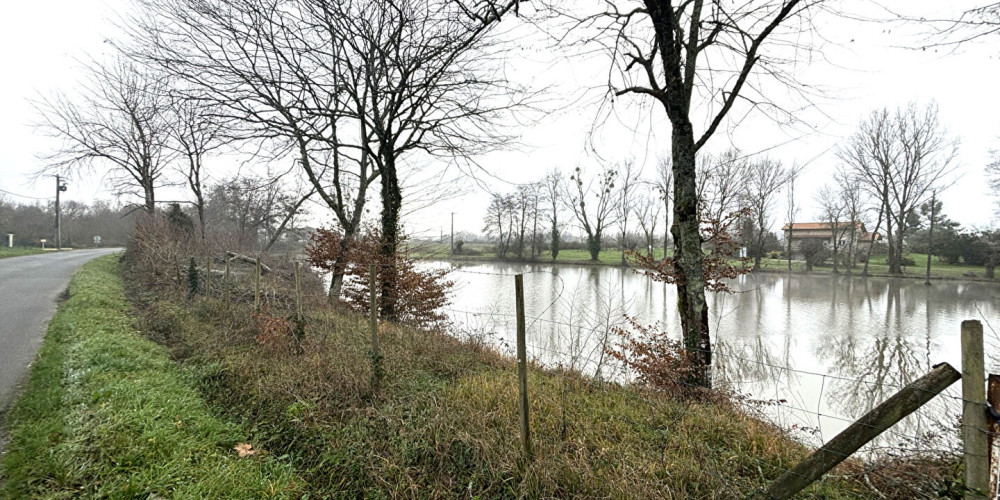 terrain à LES ARTIGUES DE LUSSAC (33570)