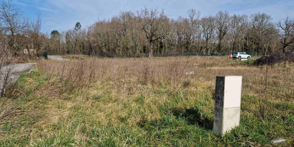 terrain à ST ANDRE DE CUBZAC (33240)