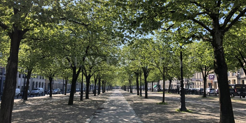 appartement à BORDEAUX (33000)